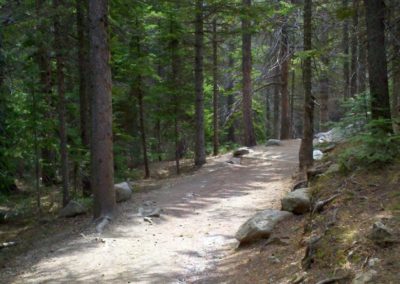 Alberta Falls trail