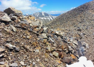 View of Quandary Peak