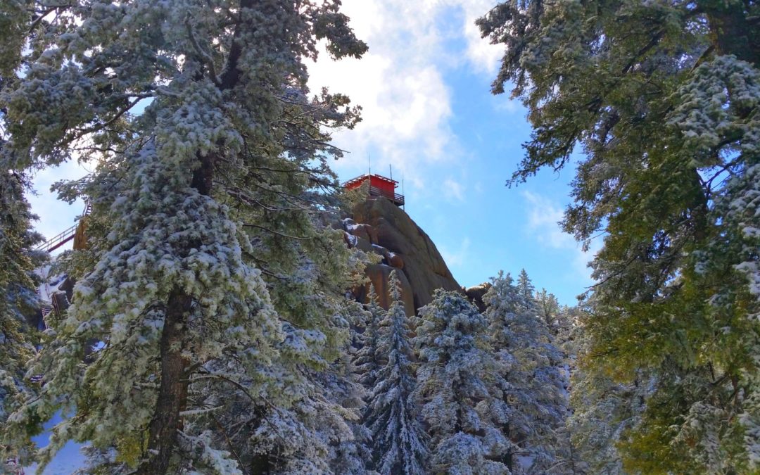 Devils Head Fire Lookout (9,748′), Front Range