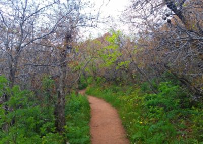 Carpenter Peak trail