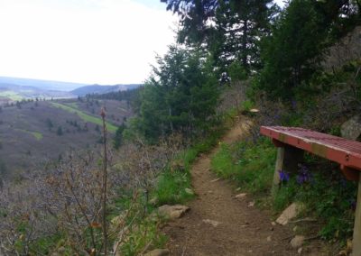 Bench along the trail