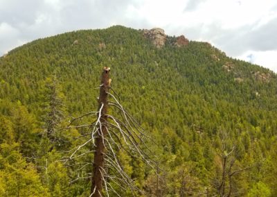 Cheyenne Mountain geological summit