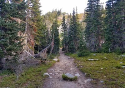 Mt Audubon trail