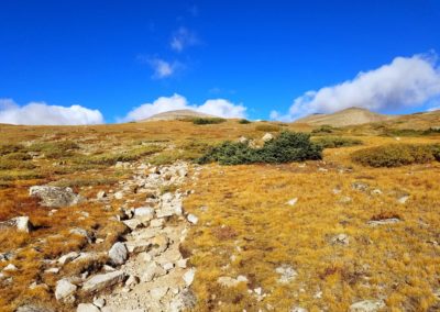 Mt Audubon trail above tree-line