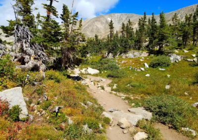 Blue Lake trail near tree-line