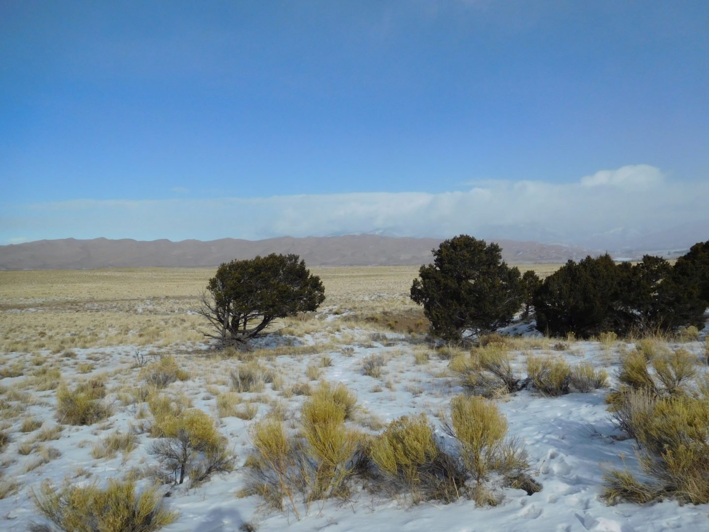 The Great Sand Dunes National Park from a distance