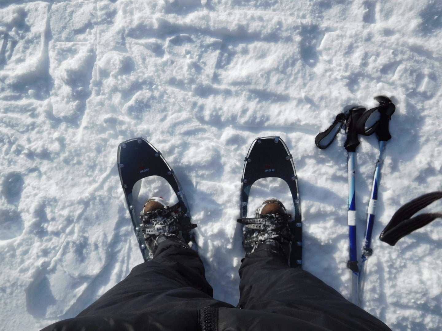 New snowshoes