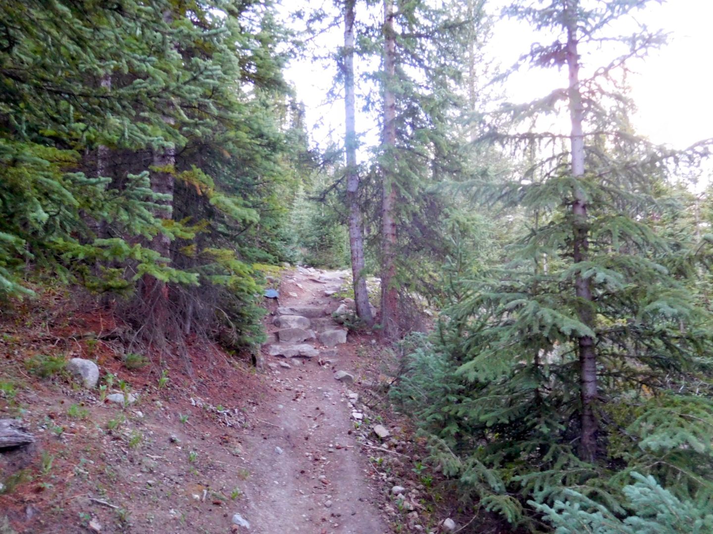 Good trail below treeline