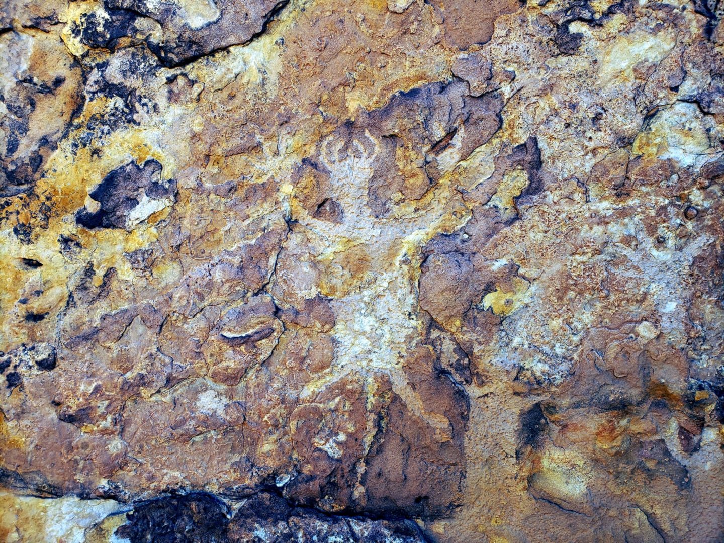 A petroglyph among the rocks