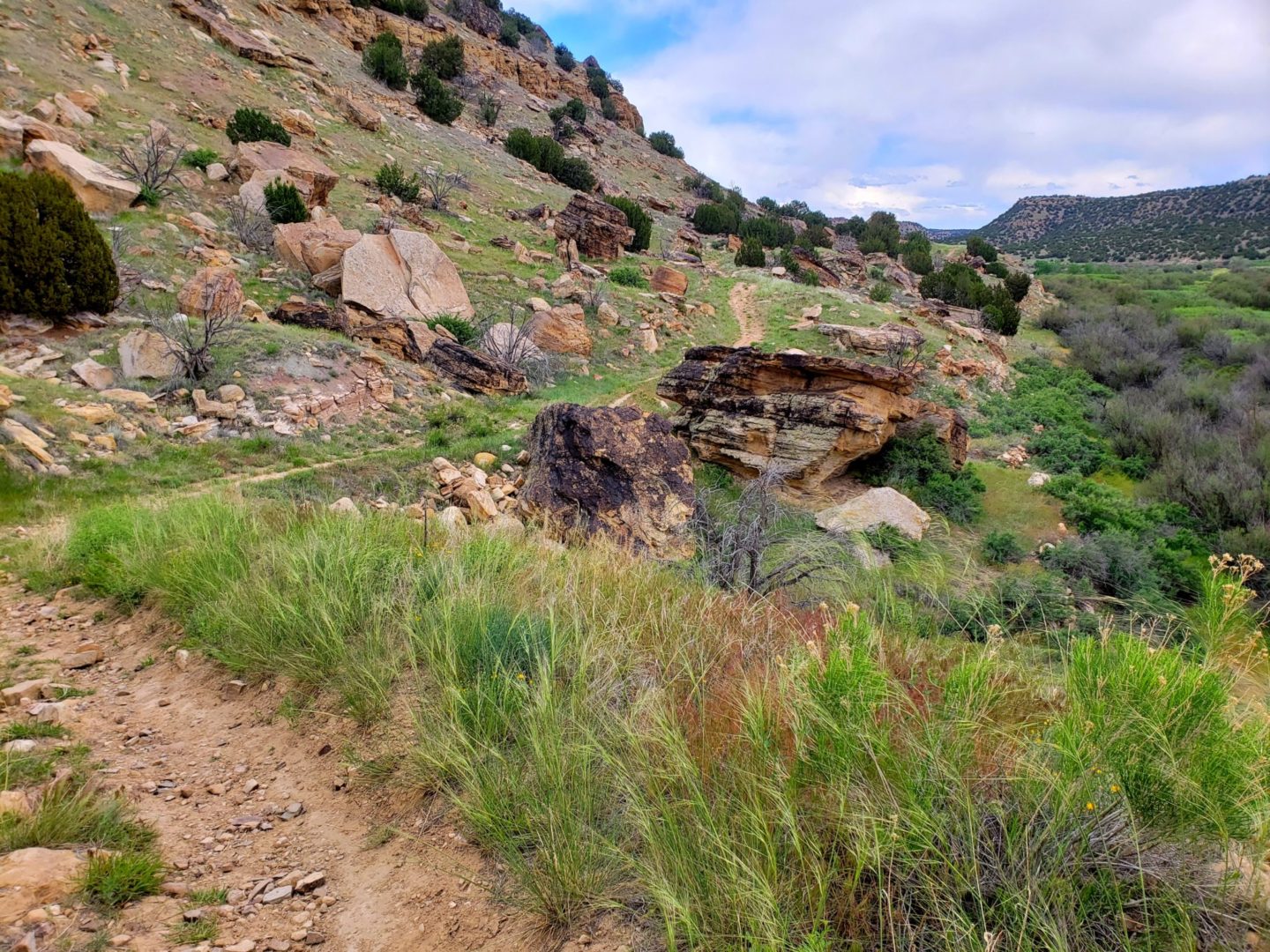 Trail along Clark Canyon