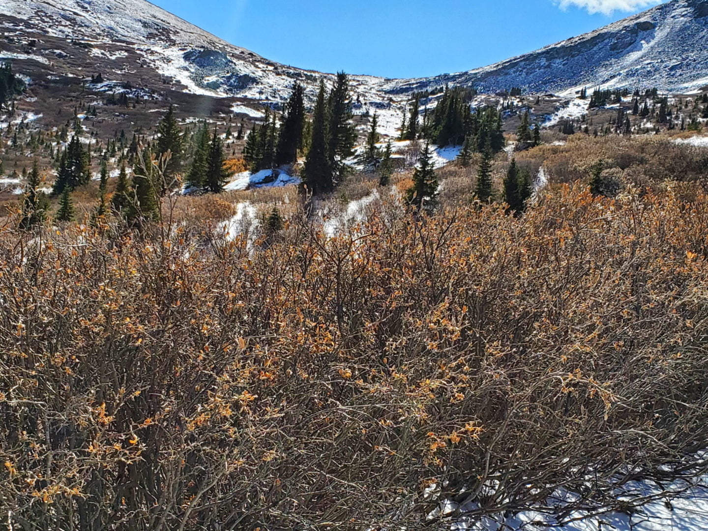 View of the north side of Tincup Pass