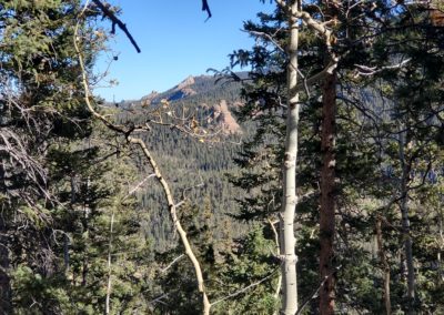 The Crags looking north through the trees