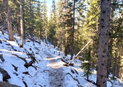 Well used trail through the forest