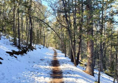 An excellent trail near the trailhead