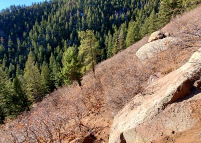 Very few trees on the steep slope