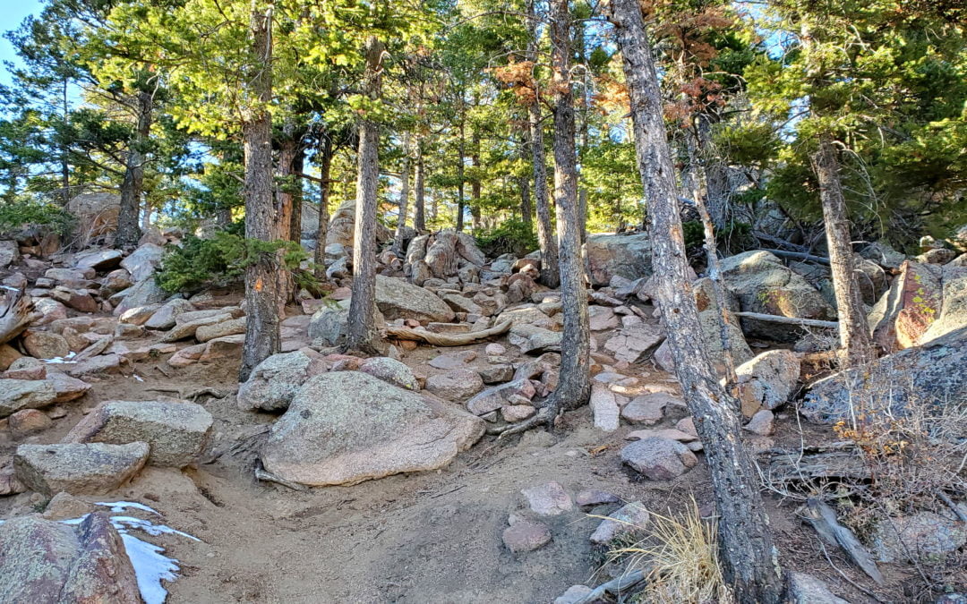 Blodgett Peak (9,429′), Front Range