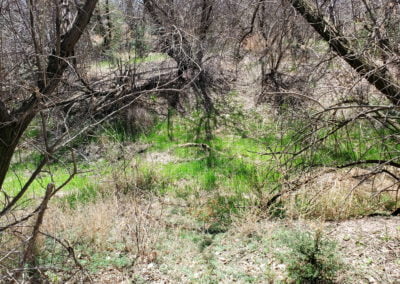 A second embankment leads to the current stream bed.