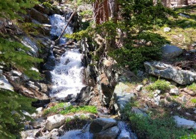Spring snowmelt along the trail