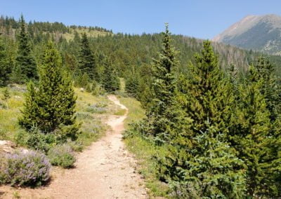 The trail alternates between steep and level areas