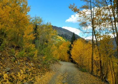 Fall in full force at higher elevations
