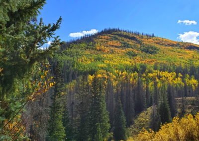 Fall colors at higher altitudes