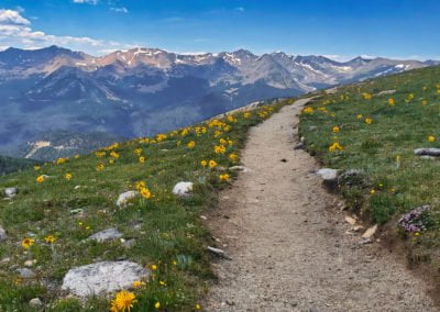 The Mt Ida trail is one of the finest trails in Colorado