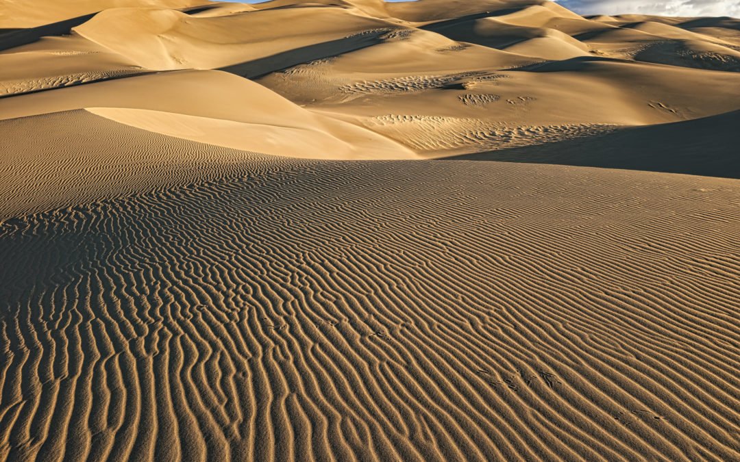 Star Dune (8,617′), Great Sand Dunes N.P.
