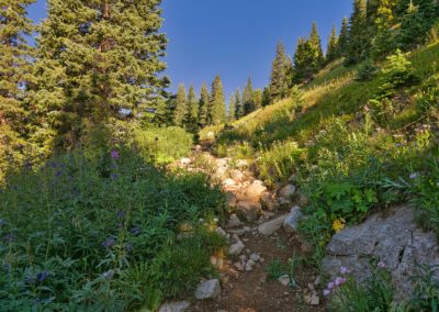 The trail is ovious all the way to the top of the pass