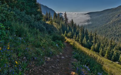 Arapaho Pass (11,950′), Front Range