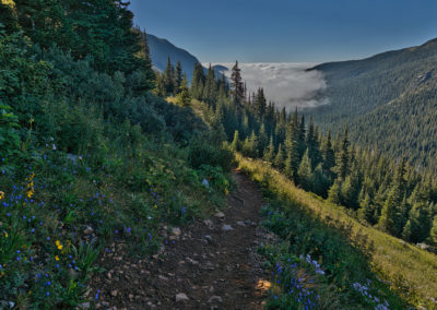 Early morning on the 4th of July trail.