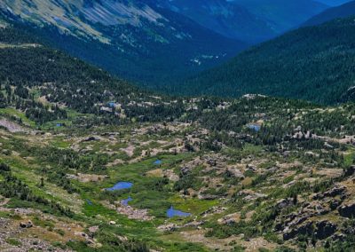 View back into the North Fork, Middle Boulder Creek drainage from the top of the pass.