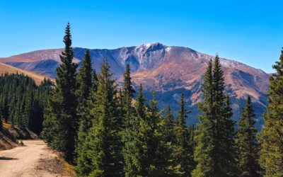 Mt Flora (13,146′), Front Range